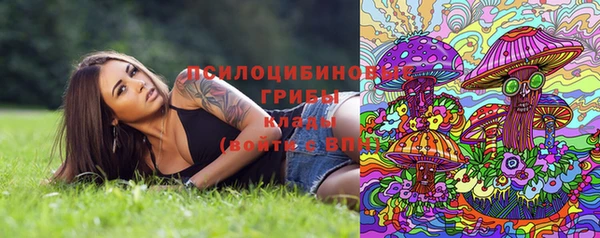 a pvp Алексин