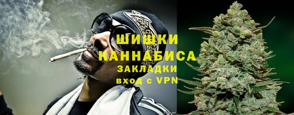 ALPHA PVP Покров