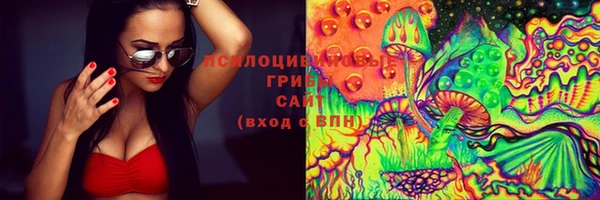 a pvp Алексин