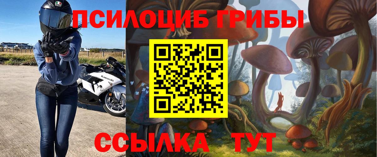 Псилоцибиновые грибы мухоморы Бахчисарай