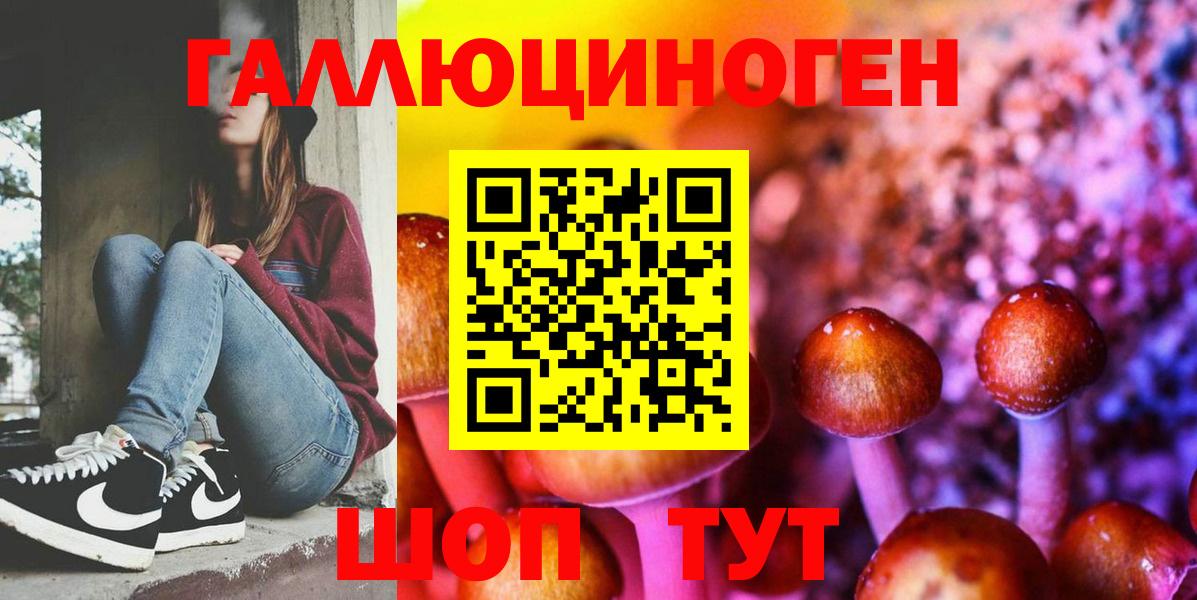 цена   Галлюциногенные грибы GOLDEN TEACHER  Псилоцибиновые грибы прущие грибы  Вход с VPN  Бахчисарай 
