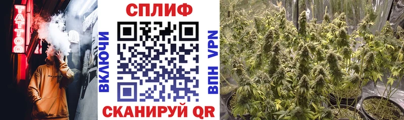 blacksprut зеркало  Бахчисарай  МАРИХУАНА гибрид 